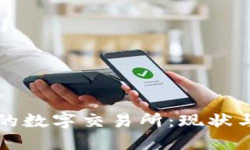 中国合法的数字交易所：现状与未来发展