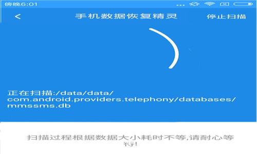 TP钱包安卓版下载及使用指南