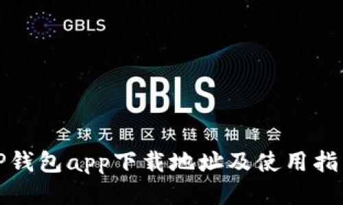 TP钱包app下载地址及使用指南
