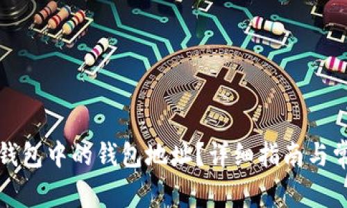 如何查看TP钱包中的钱包地址？详细指南与常见问题解答