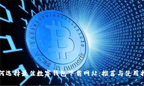 如何选择最佳数字钱包下载网站：推荐与使用指南