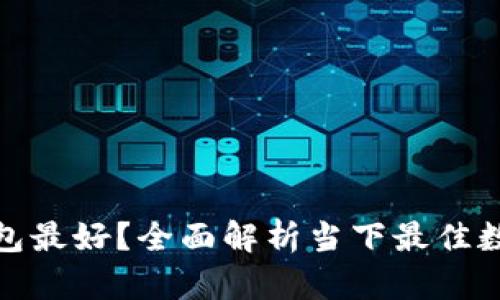 哪个数字钱包最好？全面解析当下最佳数字钱包选择