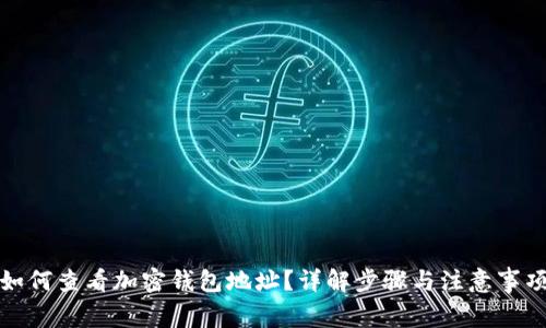 如何查看加密钱包地址？详解步骤与注意事项