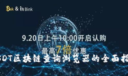 USDT区块链查询浏览器的全面指南