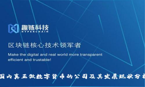 国内真正做数字货币的公司及其发展现状分析