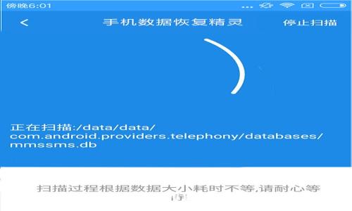 如何高效下载和使用数字钱包：全面指南