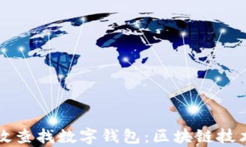 如何高效查找数字钱包:区块链技术全解析