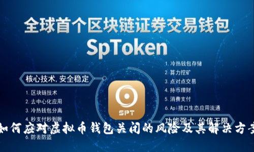 如何应对虚拟币钱包关闭的风险及其解决方案