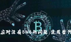 如何在TP钱包中应对没有BNB的问题：使用替代方案