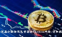 如何在小狐狸钱包中添加Fantom网络：详细指南