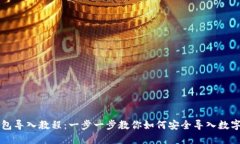 虚拟币钱包导入教程：一步一步教你如何安全导