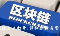 数字货币钱包怎么打开：详细步骤与常见问题解