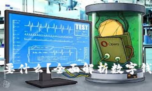开通数字钱包需要什么？全面解析数字钱包的申请与使用