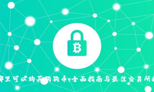 在哪里可以购买狗狗币：全面指南与最佳交易所推荐