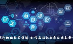 虚拟币钱包地址格式详解：如何正确识别和使用