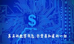 真正的数字钱包：你需要知道的一切