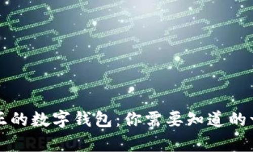真正的数字钱包：你需要知道的一切