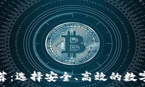   
虚拟币钱包推荐：选择安全、高效的数字资产存储工具