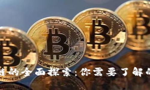区块链公链的全面探索：你需要了解的主要公链