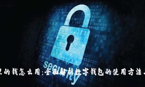 数字钱包里的钱怎么用：全面解析数字钱包的使用方法与应用场景
