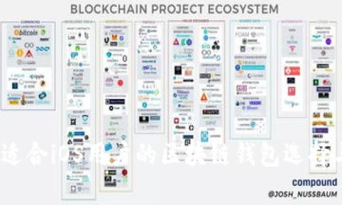 全面解析：适合iOS用户的区块链钱包选择与使用指南