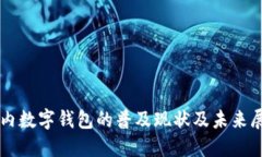 国内数字钱包的普及现状及未来展望