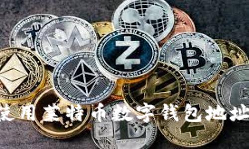 如何获取与使用莱特币数字钱包地址：全方位指南