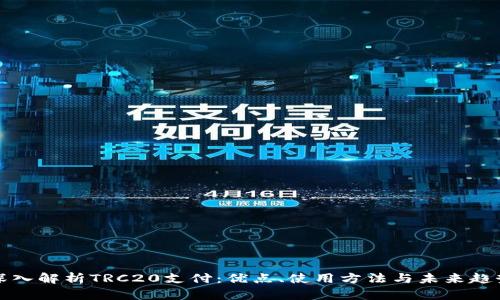 深入解析TRC20支付：优点、使用方法与未来趋势