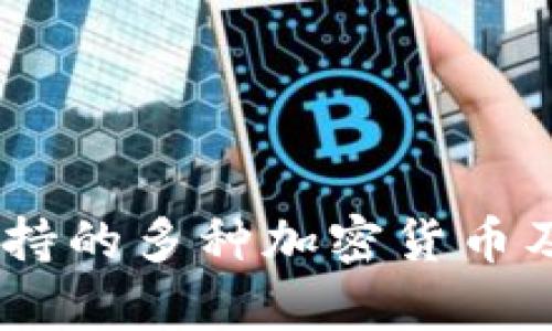 OKEx交易所支持的多种加密货币及其重要性分析