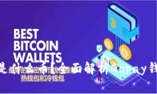 Gopay钱包是什么币？全面解析Gopay钱包及其功能