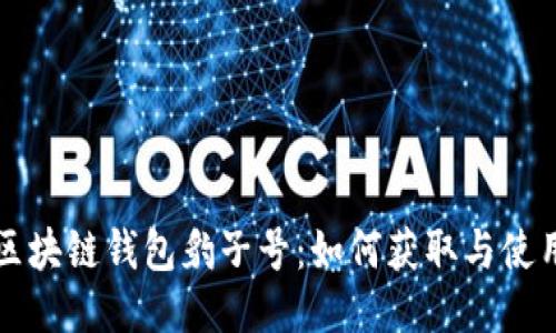 揭秘区块链钱包豹子号：如何获取与使用指南